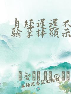 月经迟迟不来,验孕棒显示没有怀孕