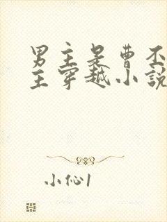 男主是曹丕的女主穿越小说