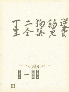 丁二狗的逆袭人生全集免费观看