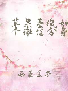 苹果手机如何两个微信分身同步