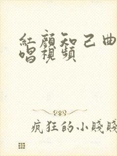 红颜知己曲谱教唱视频