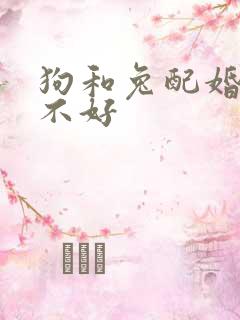 狗和兔配婚姻好不好