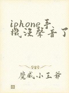 iphone手机没声音了