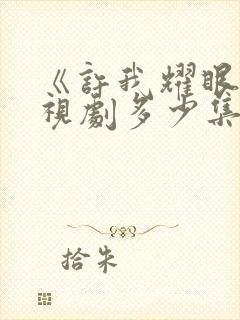 《许我耀眼》电视剧多少集