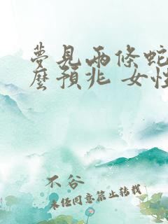 梦见两条蛇是什么预兆 女性已婚