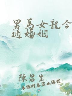男马女龙合不合适婚姻