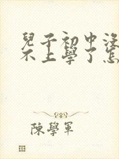 儿子初中没毕业不上学了怎么办