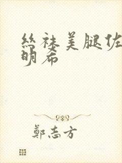 丝袜美腿佐佐木明希