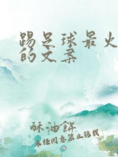 踢足球最火走心的文案