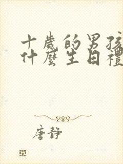 十岁的男孩子送什么生日礼物