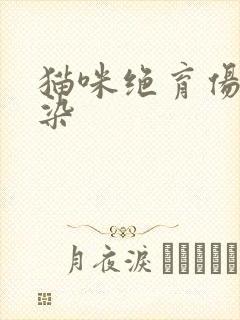 猫咪绝育伤口感染