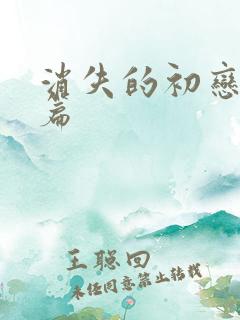 消失的初恋番外篇