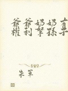 爷爷奶奶有没有权利拿孙子的抚养权