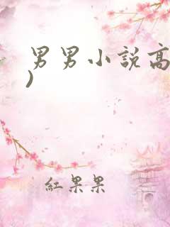 男男小说高(h)