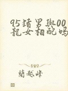 95猪男与00龙女相配吗