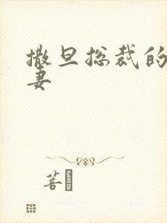 撒旦总裁的下堂妻