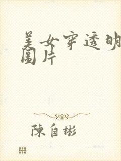 美女穿透明内裤图片