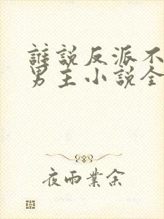 谁说反派不能当男主小说全文