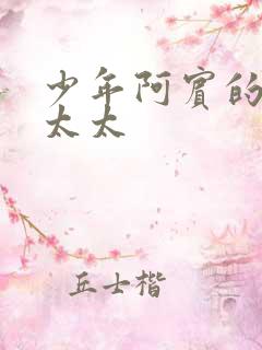 少年阿宾的房东太太