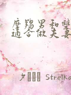 摩羯男和双子女适合做夫妻吗