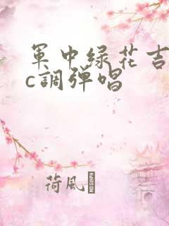 军中绿花吉他谱c调弹唱