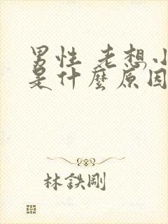 男性 老想小便是什么原因