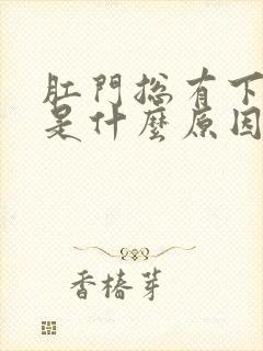 肛门总有下坠感是什么原因