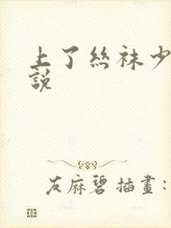 上了丝袜少妇小说