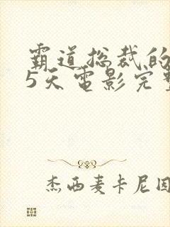 霸道总裁的365天电影完整