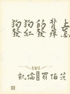 狗狗的背上皮肤发红发痒怎么办?