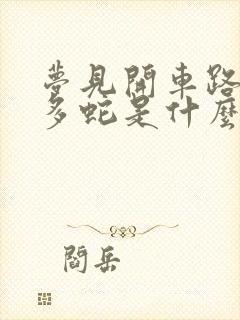 梦见开车路上好多蛇是什么预兆