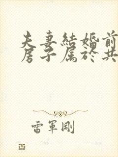 夫妻结婚前买的房子属于共同财产吗