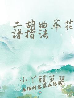 二胡曲葬花吟曲谱指法