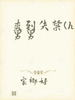 爽到失禁(h)男男