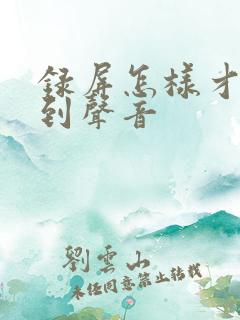 录屏怎样才能录到声音