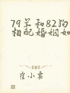 79羊和82狗相配婚姻如何