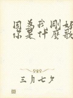 因为我刚好遇见你是什么歌