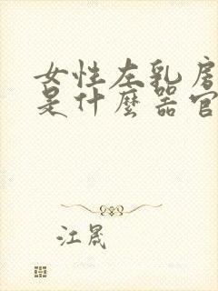 女性左乳房下侧是什么器官