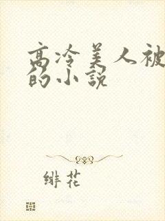高冷美人被催眠的小说