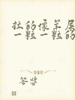 拉的像羊屎一样一粒一粒的