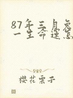 87年三月兔女一生命运怎样