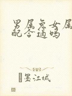 男属兔女属羊婚配合适吗