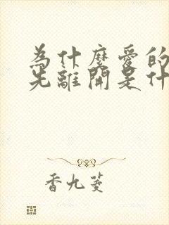 为什么爱的人会先离开是什么歌