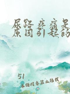 尿路疼痛是什么原因引起的