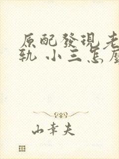 原配发现老公出轨 小三怎么做