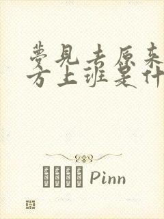 梦见去原来的地方上班是什么意思