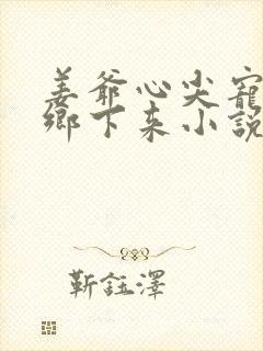 姜爷心尖宠她从乡下来小说全文免费阅读