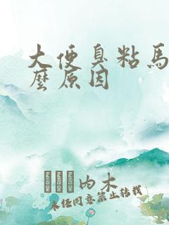 大便臭粘马桶什么原因