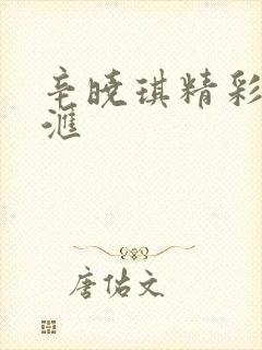 辛晓琪精彩音乐汇