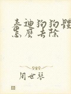 泰迪狗狗体味重怎么去除